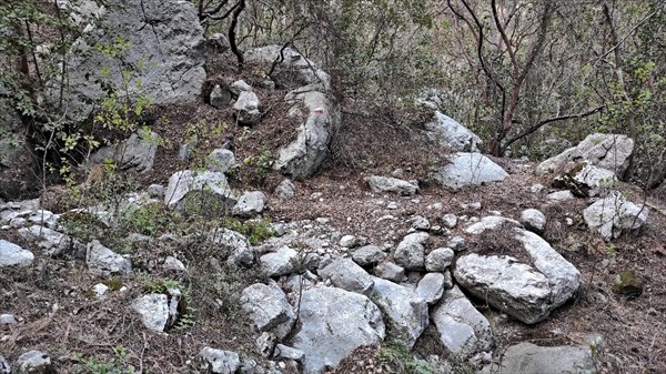 IMG_20220422_162746