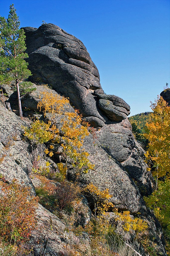скала воробушки красноярск. заповедник столбы такмак. скала воробушки красноярские столбы. такмаковский скальный район заповедник столбы. скала воробушки красноярск.