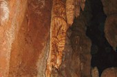 IMG_0866_wm