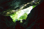 IMG_7038