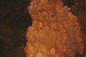IMG_7237