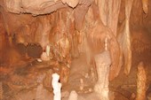 IMG_7238