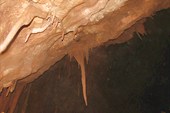 IMG_7245