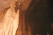 IMG_7246