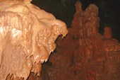IMG_7252