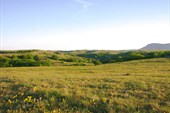 Караби