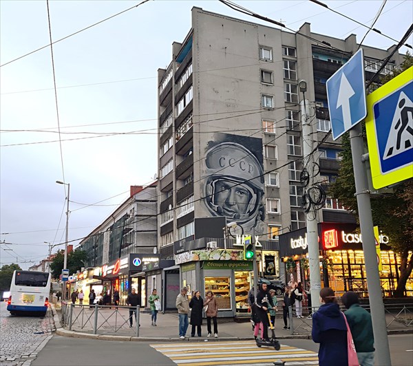 282-Калининград