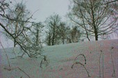IMG_3227