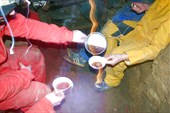 Заколдованный чай.