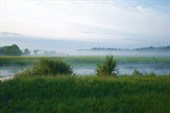 DSCF9775