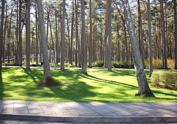 018-Дзинтари