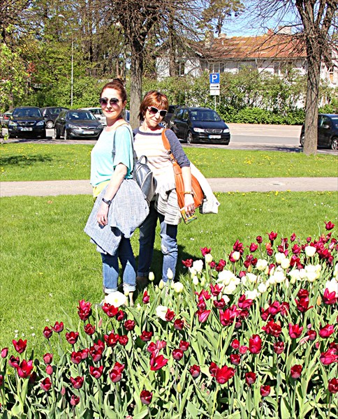 086-Тюльпаны