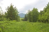 Г. Ялангас