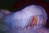 027_atlantida