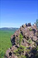 Букашки на камешке