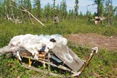 Стоянка оленеводов в устье Сезым-Юган.