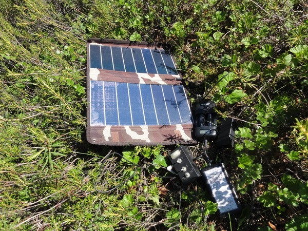 Солнечная батарея, зарядка аккумуляторов.