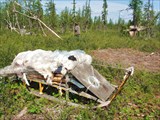 Стоянка оленеводов в устье Сезым-Юган.