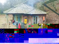 2020.01.07_16:06 Крошка енот