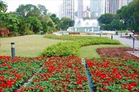 Fountain-terrace-garden-Зоологический и ботанический сад