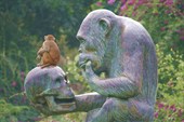 Скульптуры острова обезьян.