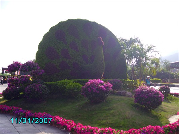 Скульптура из растений.