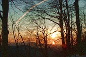 DSC03470