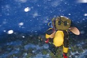 IMG_0886_resize_resize