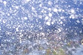 IMG_0888_resize_resize