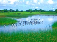 1-национальный парк "Какаду"