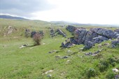 DSC08987
