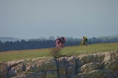 DSC09008
