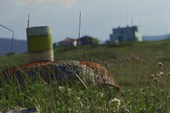DSC09031