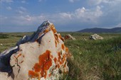 DSC09033