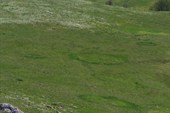 DSC09316