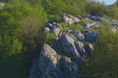 DSC09367