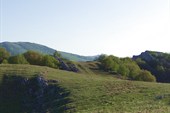 DSC09371