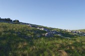DSC09379
