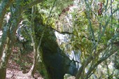 DSC09455