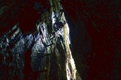 DSC09490