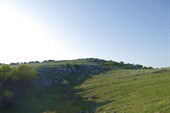 DSC09553