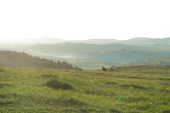 DSC09579