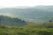 DSC09597