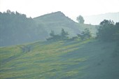 DSC09600