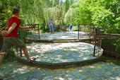 DSC09729