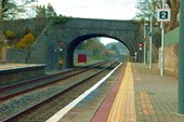 P1000194