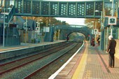 P1000206