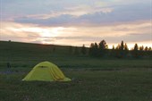 IMG_3305