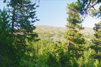 Dsc03598