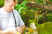 На острове обезьян - угощение французским печеньем обезъянок